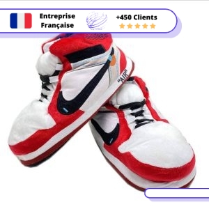 Chaussons sneakers Jordan 1 Dior